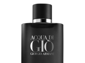 Top alternatives fragrances to Acqua di Giò Profumo Giorgio Armani